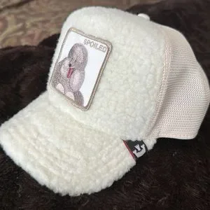 Goorin Bros | Accessories | Goorin Bros Limited Edition Spoiled